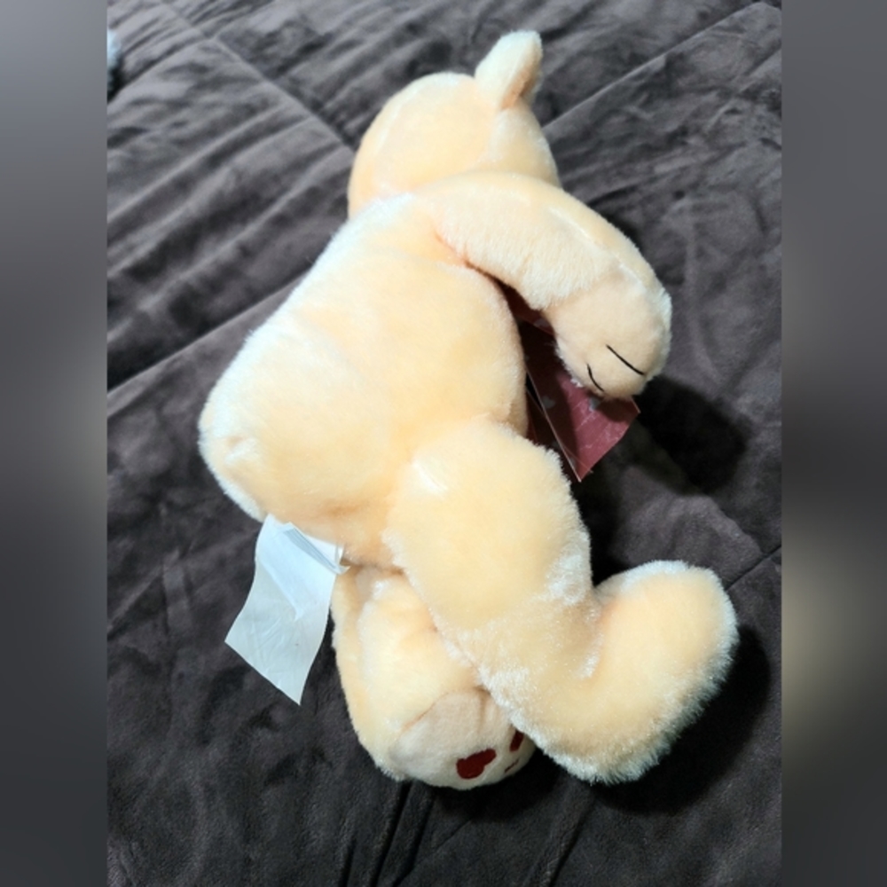 Valentine's Mid-Size Plush Teddy Bear Toy - Picture 3 of 7